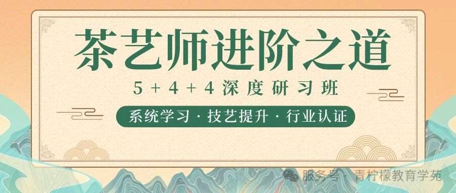 茶艺师进阶之道 | 5+4+4深度研习班招募启事